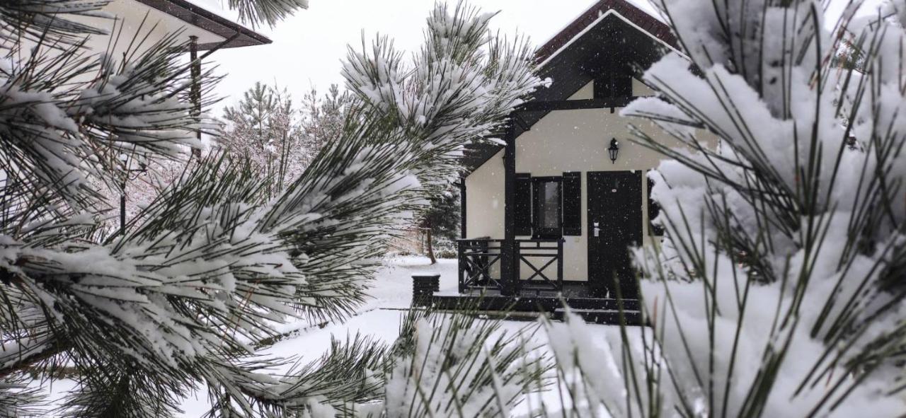 Park-Hotel Kidev Chubynske Exterior photo