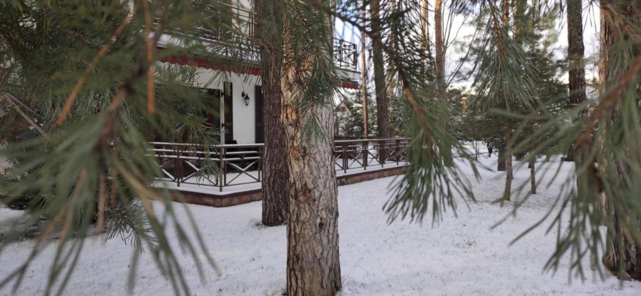 Park-Hotel Kidev Chubynske Exterior photo
